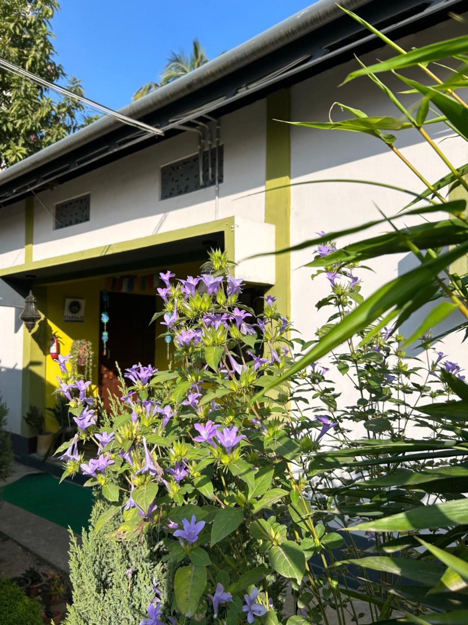Stargaze Backpackers Hostel Gauháti Kültér fotó